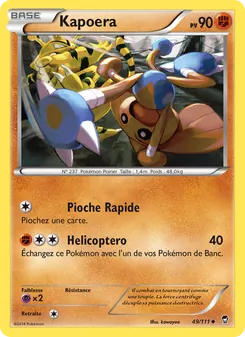 Kapoera 49/111 Poings Furieux