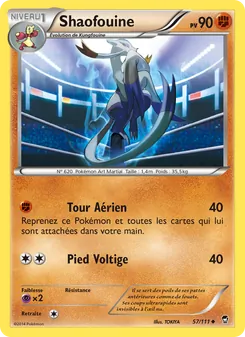 Shaofouine 57/111 Poings Furieux