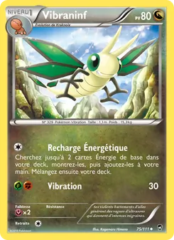 Vibraninf 75/111 Poings Furieux