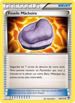 Fossile Mâchoire 94/111 Poings Furieux