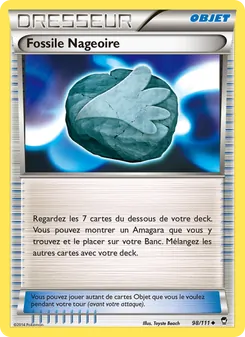 Fossile Nageoire 98/111 Poings Furieux