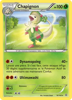 Chapignon 16/160 Primo-Choc