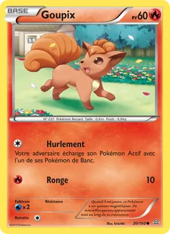 Goupix 20/160 Primo-Choc