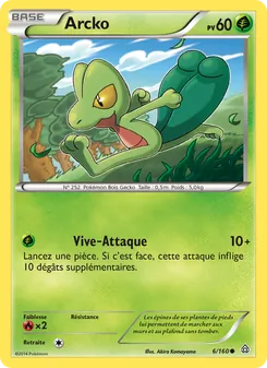 Arcko 6/160 Primo-Choc
