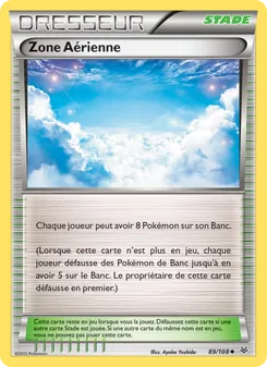 Zone Aérienne 89/108 Ciel Rugissant