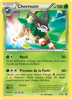 Chevroum XY16 Promo XY