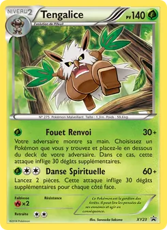 Tengalice XY23 Promo XY