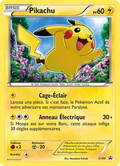 Pikachu XY89 Promo XY